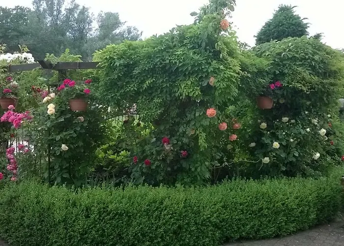 Pokoje Goscinne Rafa * Боболин